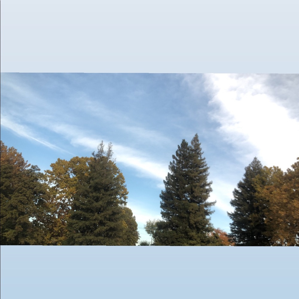 Meet your Posher, Alexa